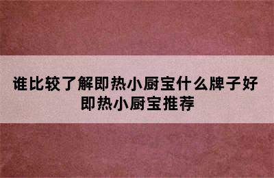 谁比较了解即热小厨宝什么牌子好 即热小厨宝推荐